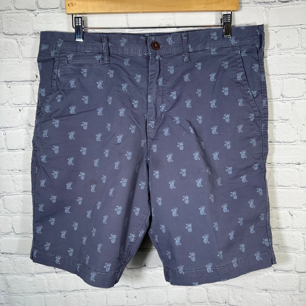 American Eagle Mens Ne(x)t Level Flex Pineapple Chino Shorts Gray Purple 36 1071